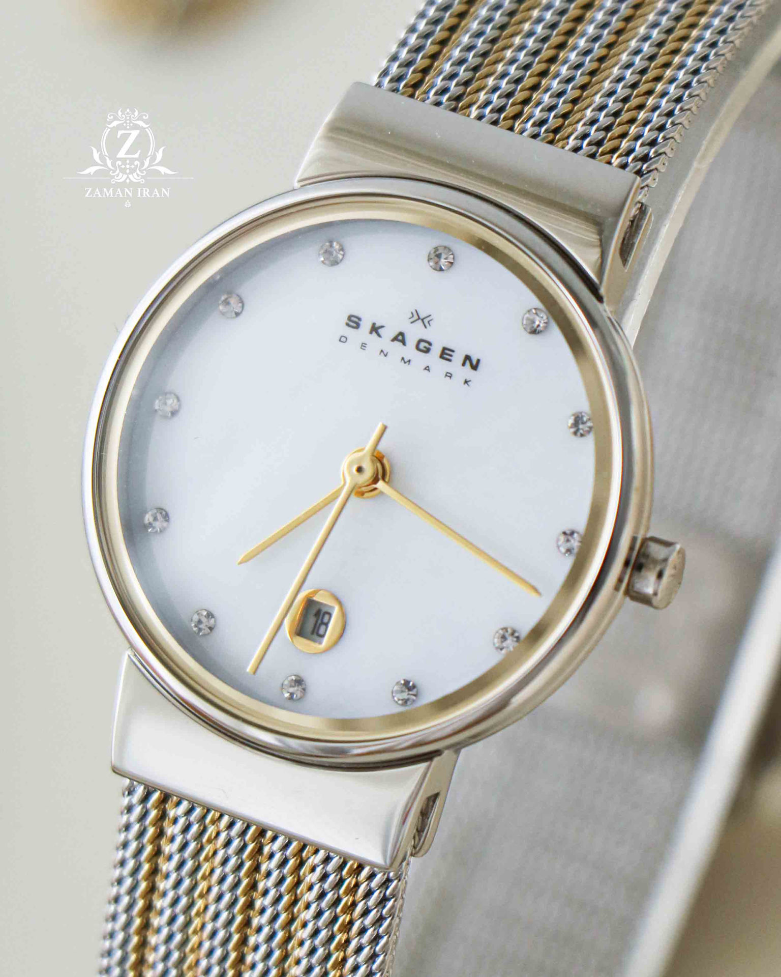 ساعت مچی زنانه اسکاگن skagen اورجینال مدل 355SSGS