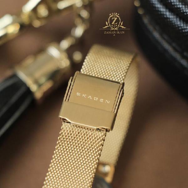 ساعت مچی زنانه اسکاگن skagen اورجینال مدل 456SGSG	